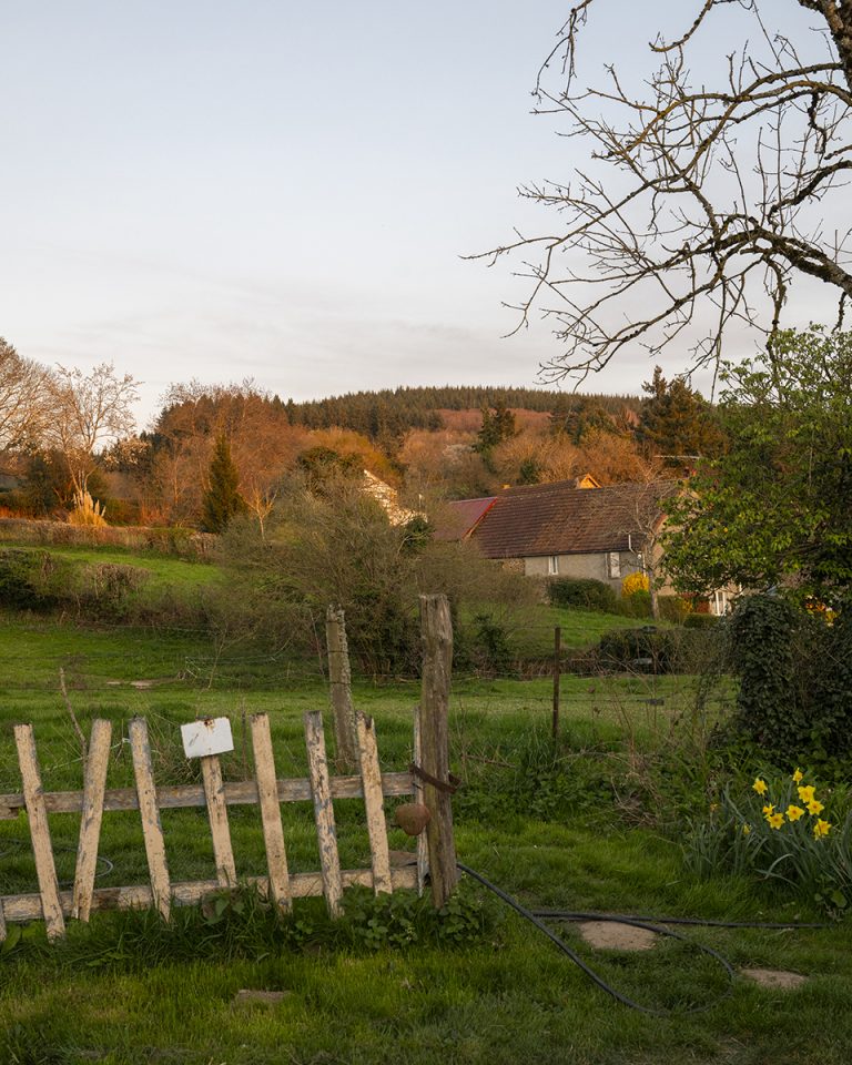 DSC_1169