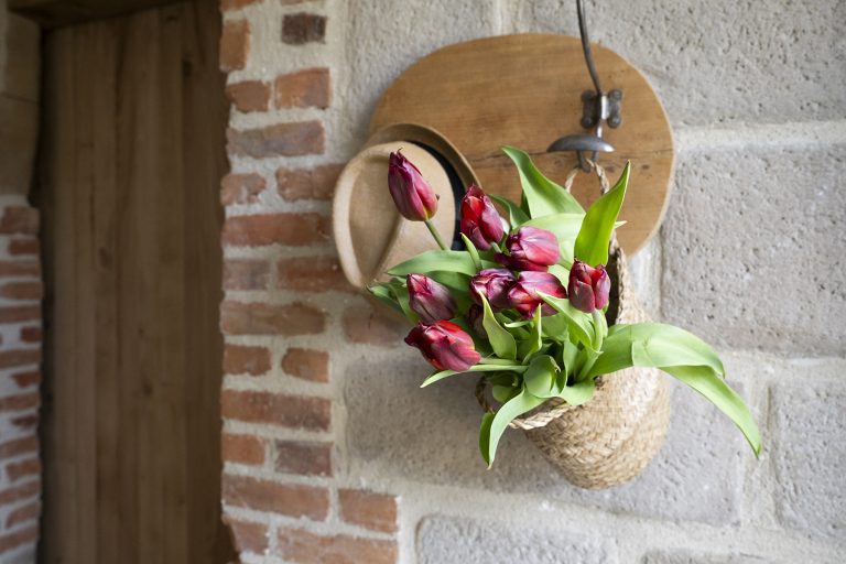 GITE-0325 (6)