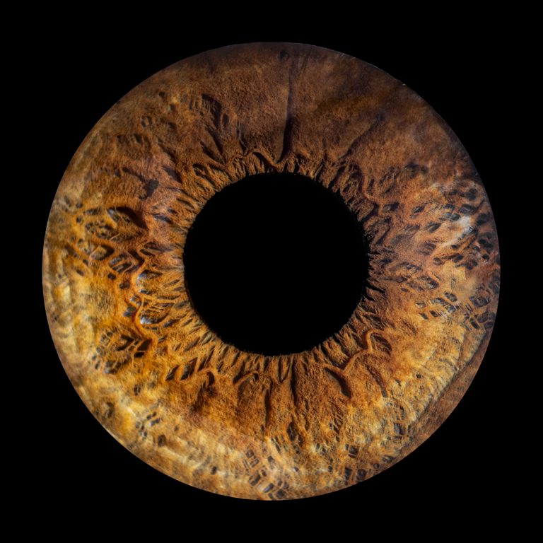IRIS CHLOE