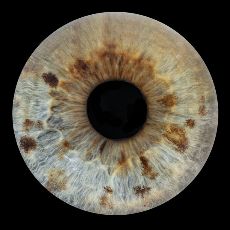 IRIS ENVOI