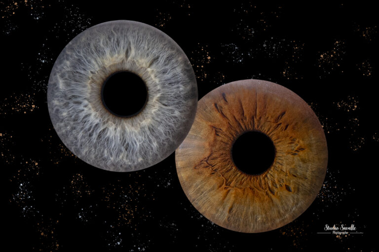 ENVOI POUR VALIDATION