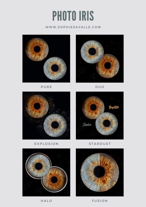 Visuel de présentation des différentes finitions possibles pour un tableau contenant des photos d'iris à romorantin